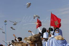 Image du Maroc Professionnelle de  Des hommes du désert s’apprêtent à une course de chameaux organisé dans un site désertique sur lequel la ville de Tan Tan a toujours accueilli la majorité des tribus et des grandes familles nomades du désert lors d'un grand Moussem, Samedi 7 Septembre 2013. Le festival parrainé par l'UNESCO rassemble des milliers de nomades du Maroc. (Photo / Abdeljalil Bounhar) 